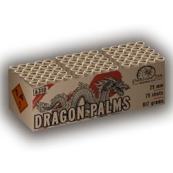 Dragon Palms 75 shots