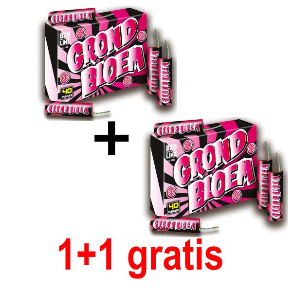 Grondbloem, 40 stuks 1+1 gratis